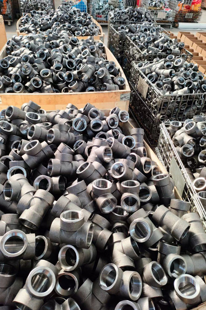 Stainless Steel 310/310S Forged Fittings