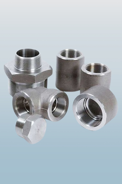 Stainless Steel 317/317L Forged Fittings