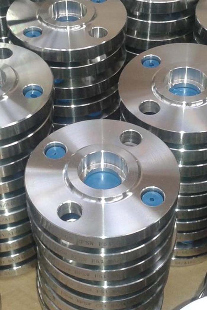 Stainless Steel Flanges